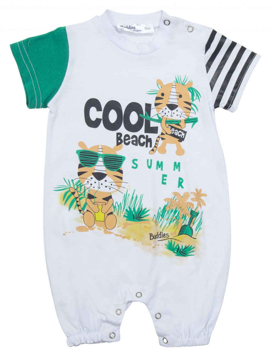 ΦΟΡΜΑΚΙ ΒΕ ΒΕ - ΛΕΥΚΟ ΠΡΑΣΙΝΟ ΛΕΥΚΟ ΠΡΑΣΙΝΟ