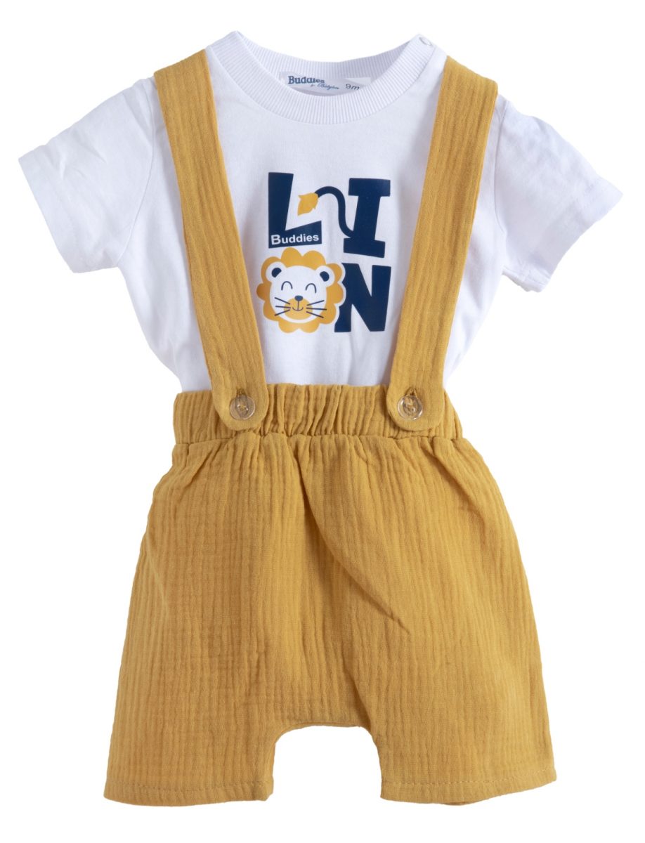 ΦΟΡΜΑΚΙ ΒΕ ΒΕ - ΤΥΠΟΣ ΤΥΠΟΣ